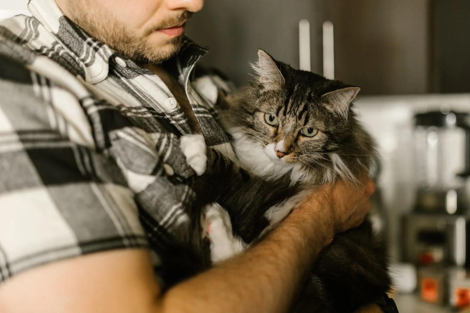 A pet owner holding their cat close at home in warm light